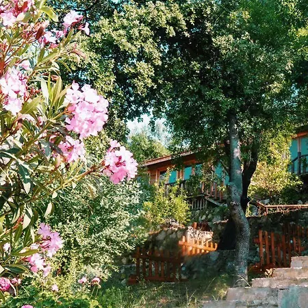 Hotel Palmira Adrasan